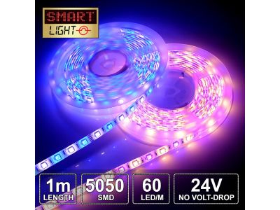 1M RGBW 12v/24V Lights - ALL